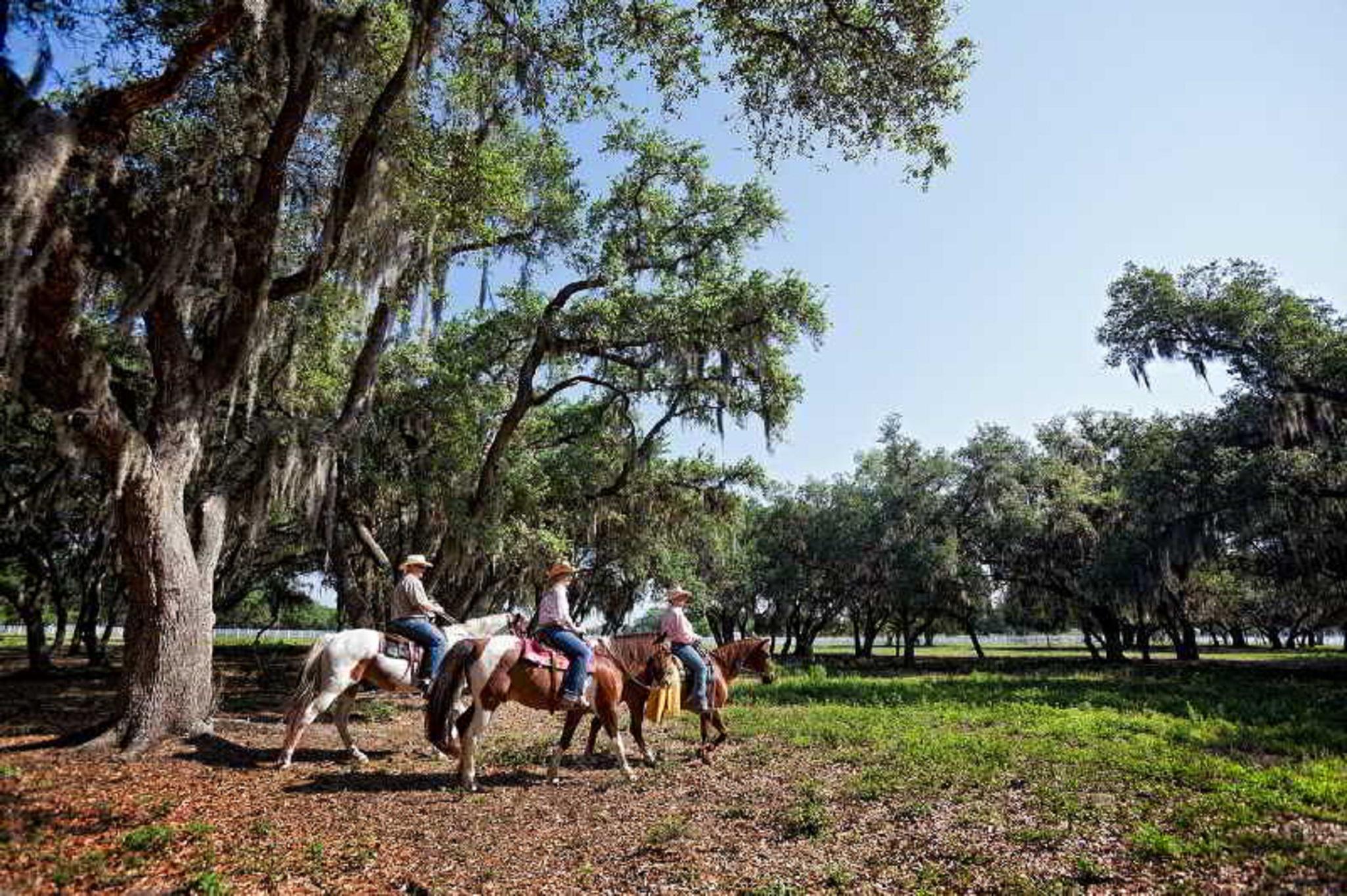Westgate River Ranch Resort & Rodeo Bagian luar foto